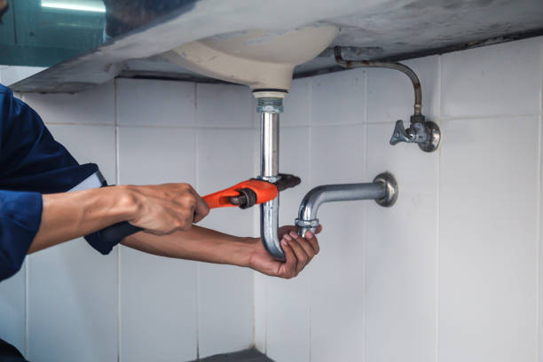 Best Plumbing Inspection Services  in North Shore, CA